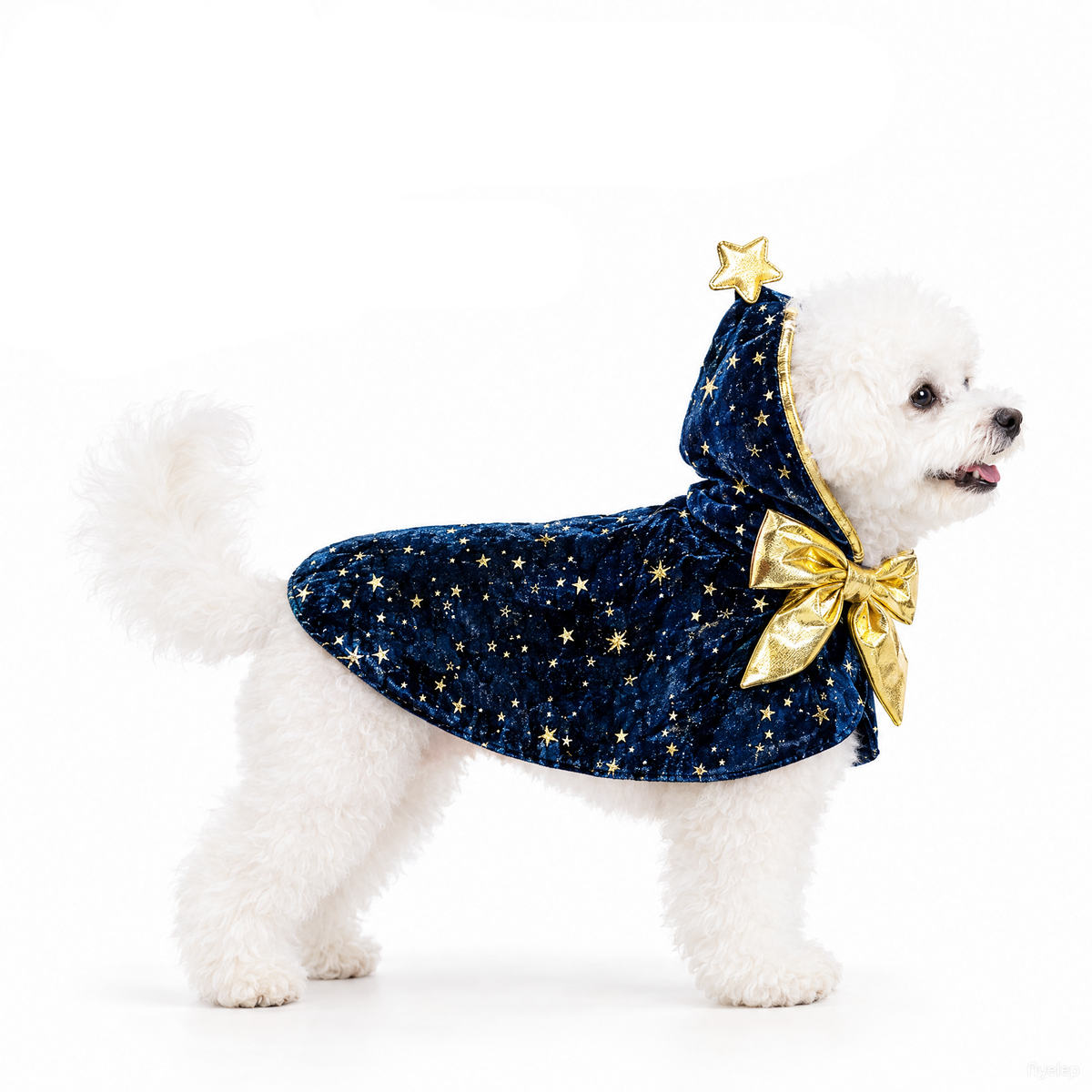 Wizard Halloween Costume for Small Dogs