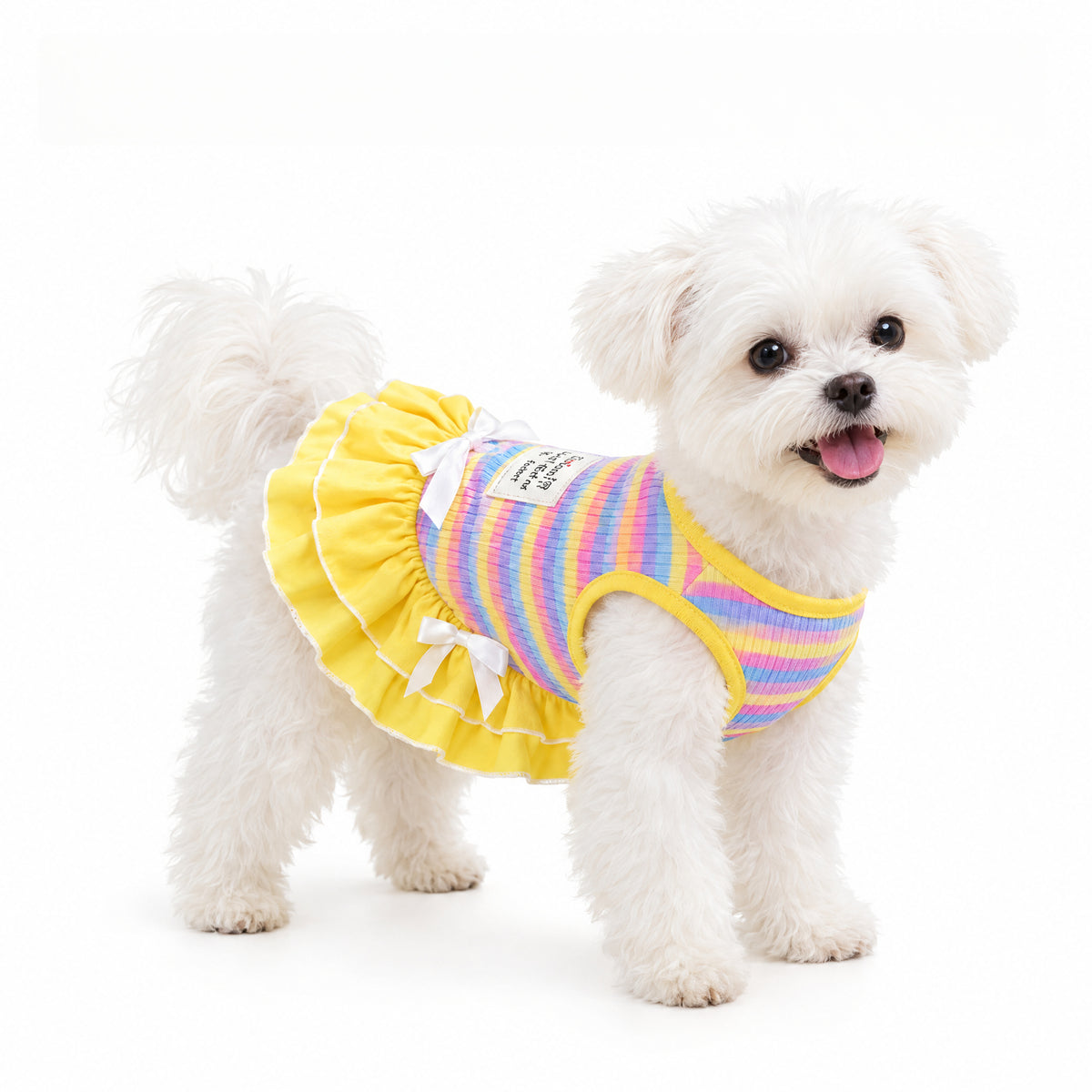 Rainbow Stripe Summer Dress for Small Dogs