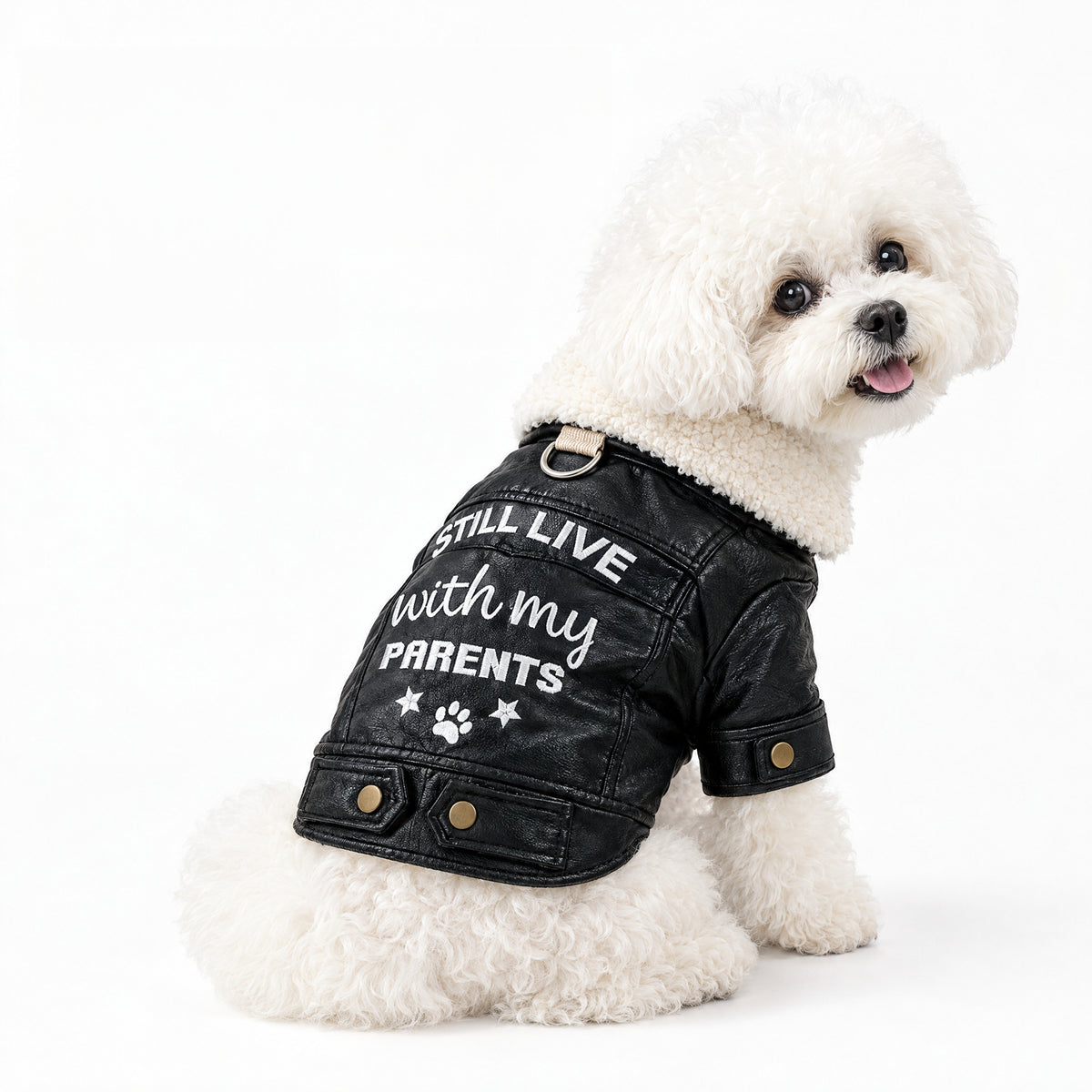 Faux Leather Biker Jacket for Small Dogs