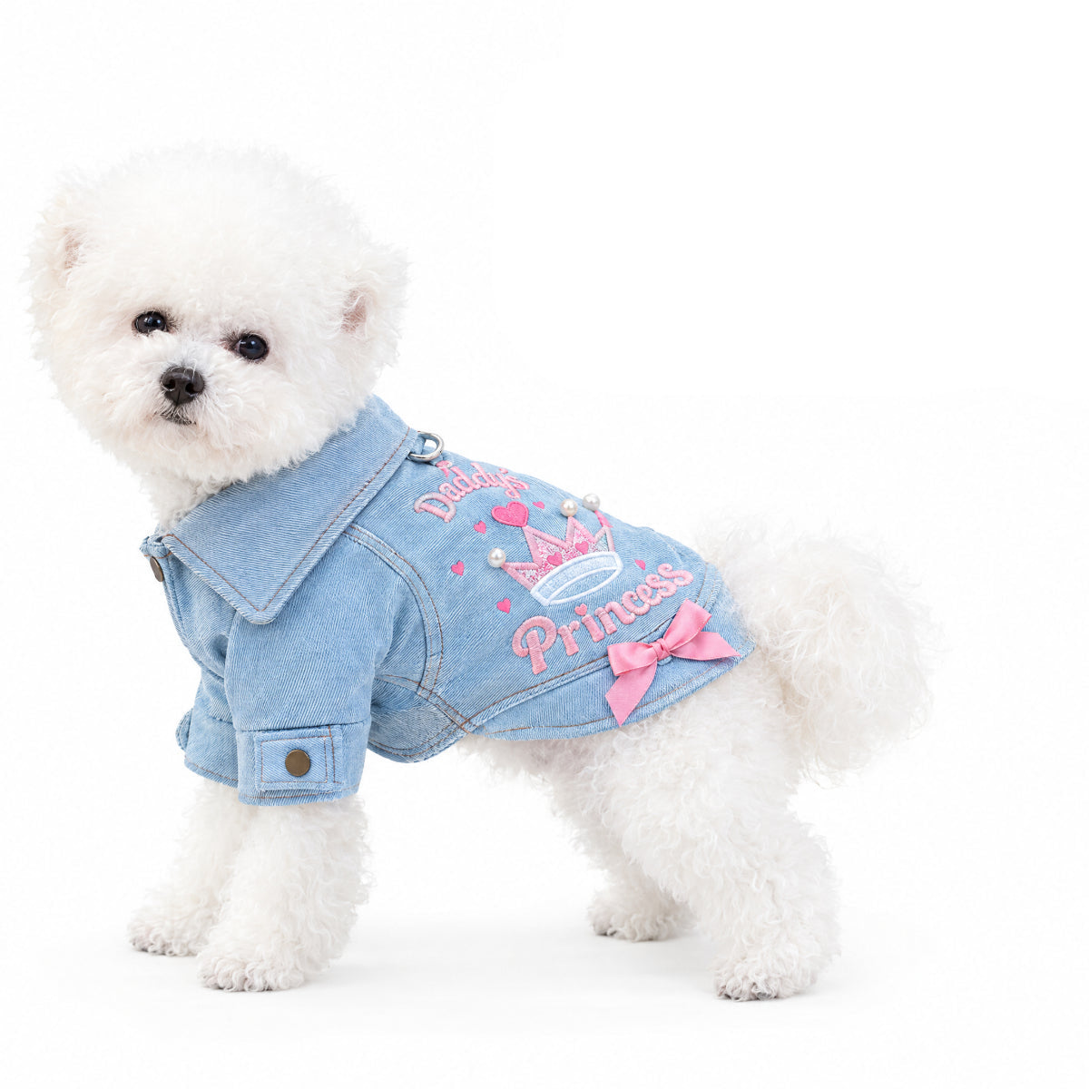 Classic Denim Outfit for Small Dogs