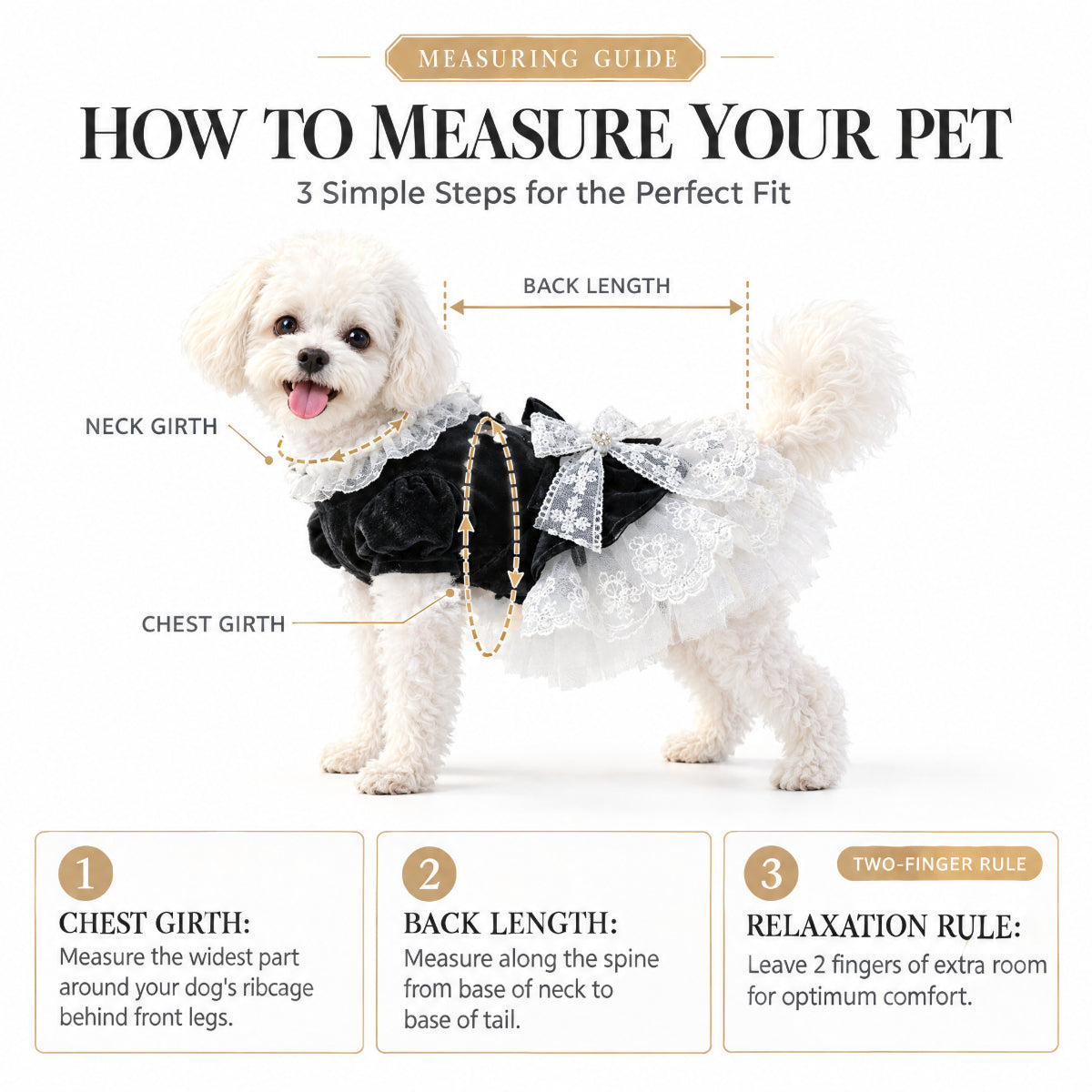 Black Velvet Lace Princess Dress for Small Dogs
