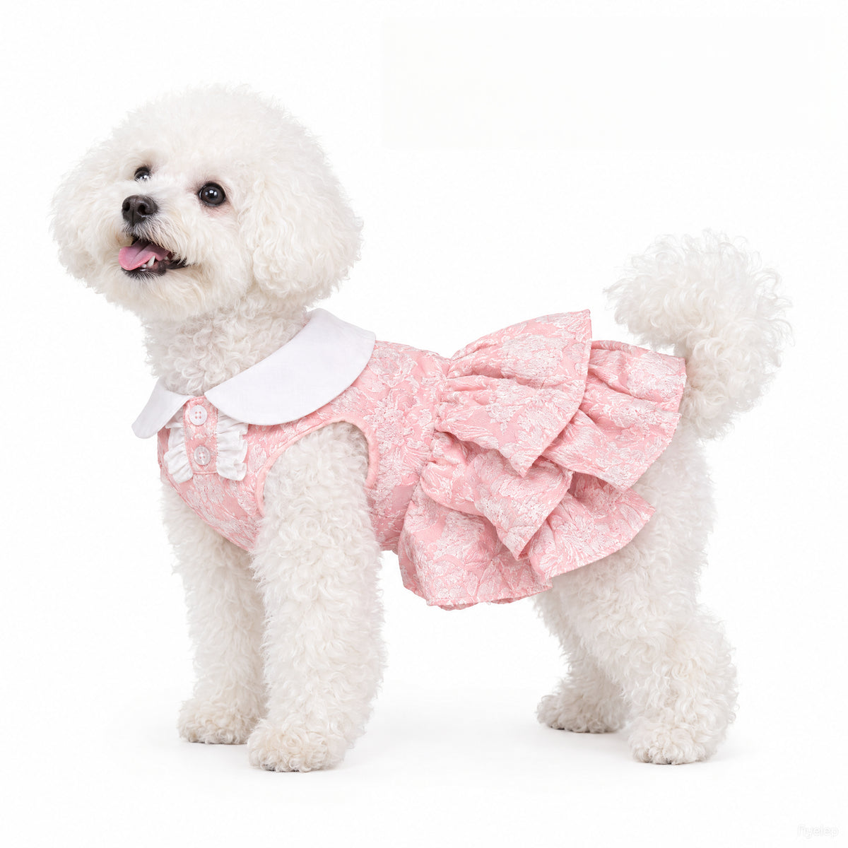 Pink Floral Ruffle Dress for Small Dogs