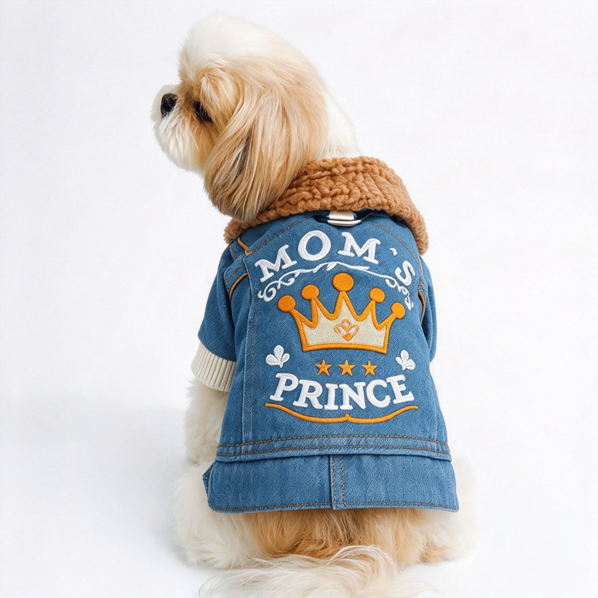 Faux Leather Biker Jacket for Small Dogs
