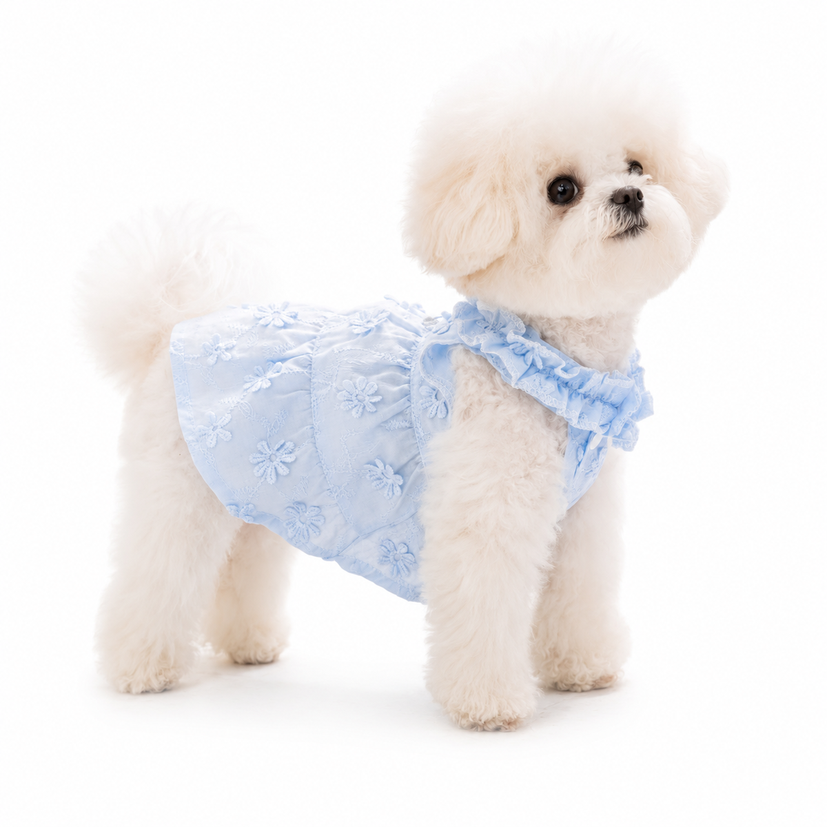 Floral Embroidered Princess Dress for Small Dogs