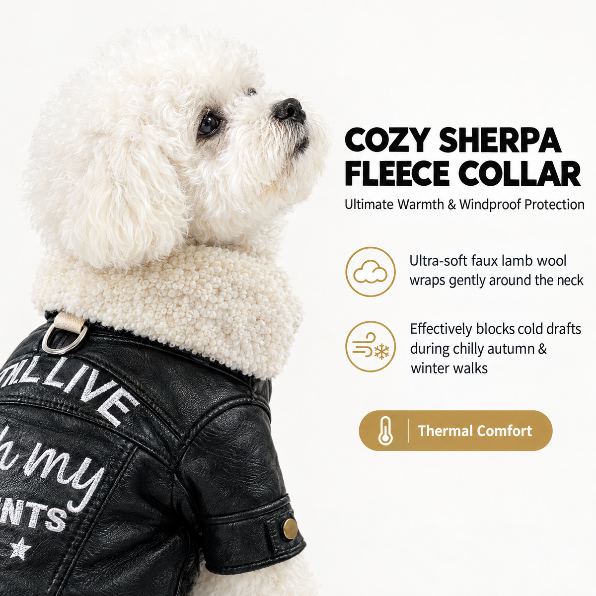 Faux Leather Biker Jacket for Small Dogs