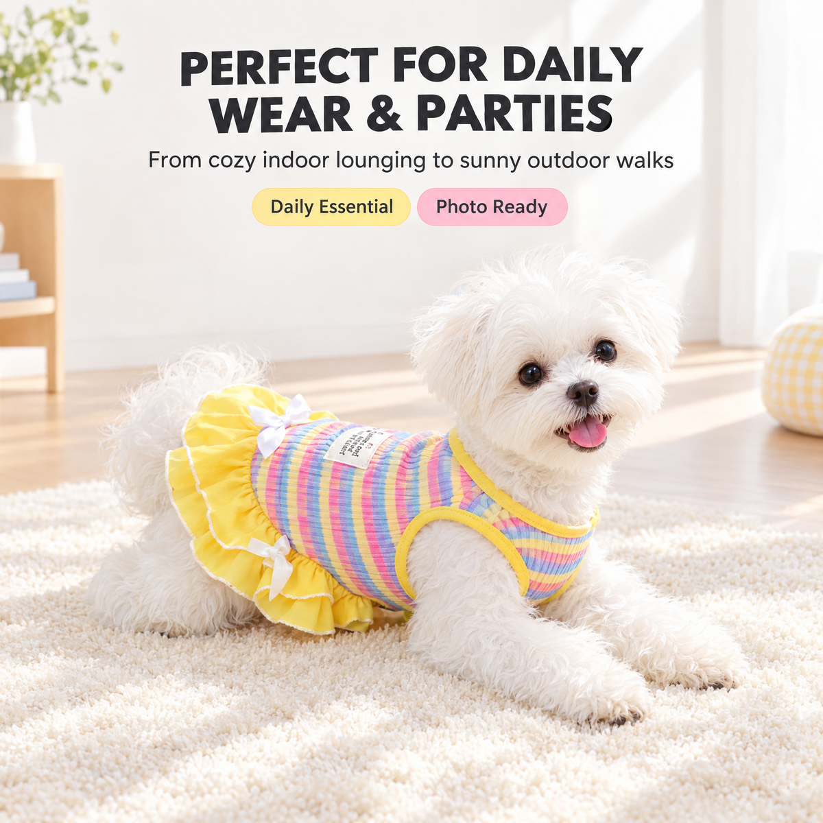 Rainbow Stripe Summer Dress for Small Dogs