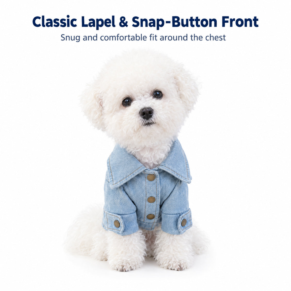 Classic Denim Outfit for Small Dogs