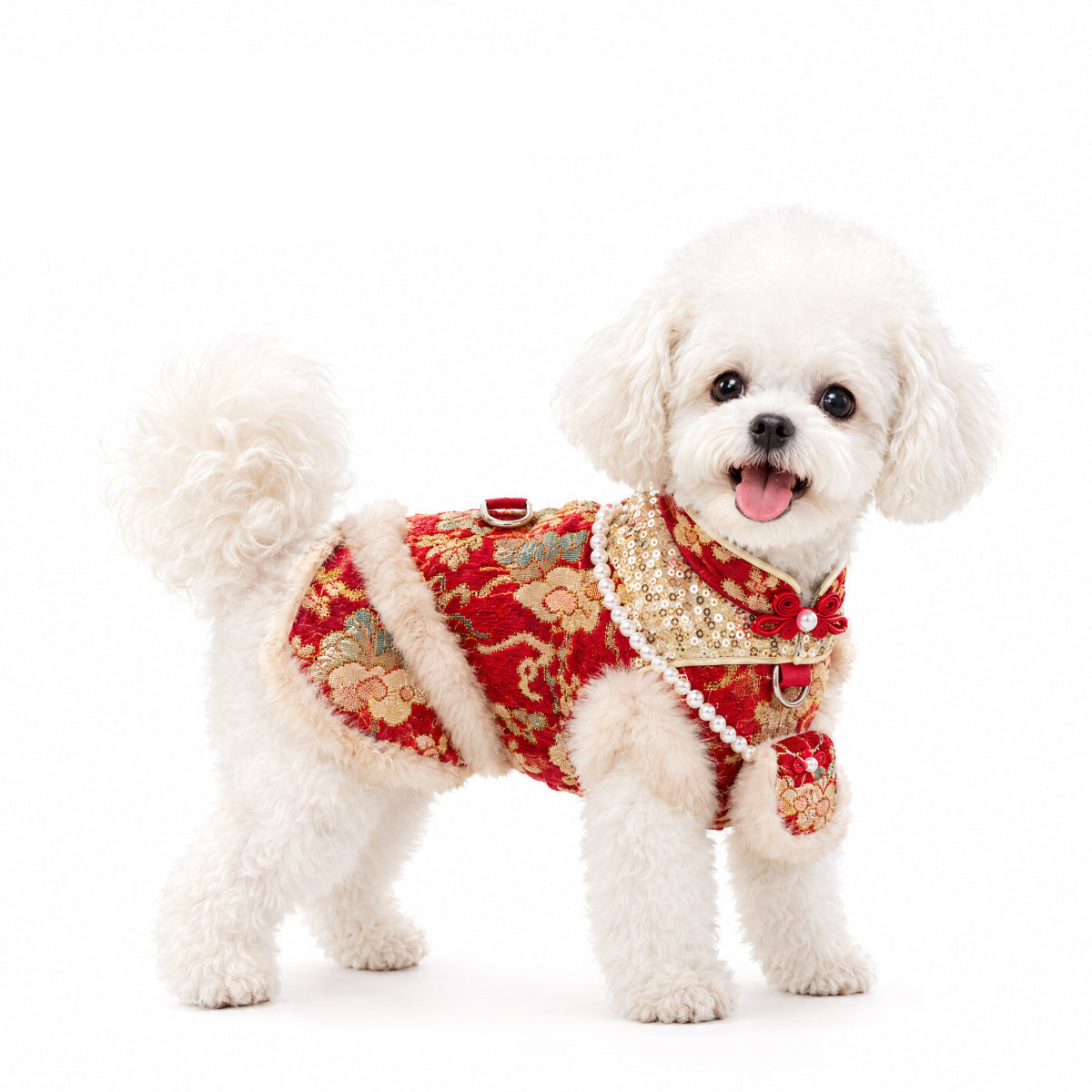 Chinese New Year Dog Vest