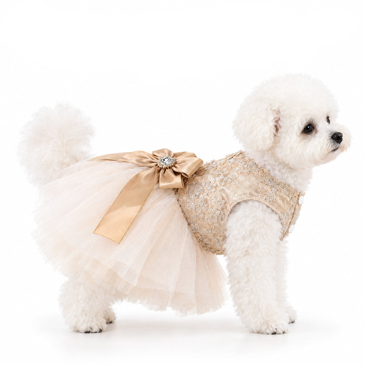 Champagne Luxury Princess Dress for Small Dogs