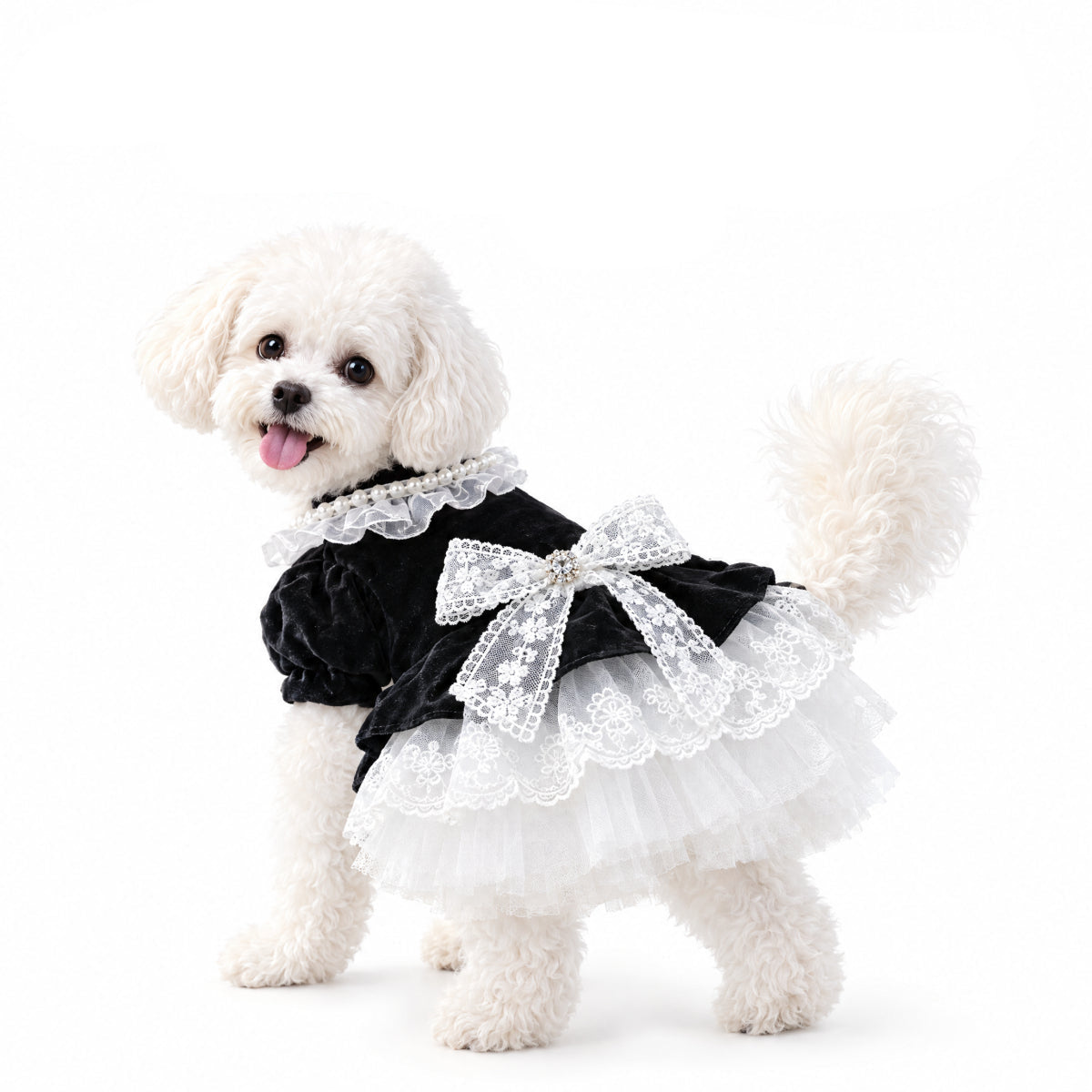 Black Velvet Lace Princess Dress for Small Dogs