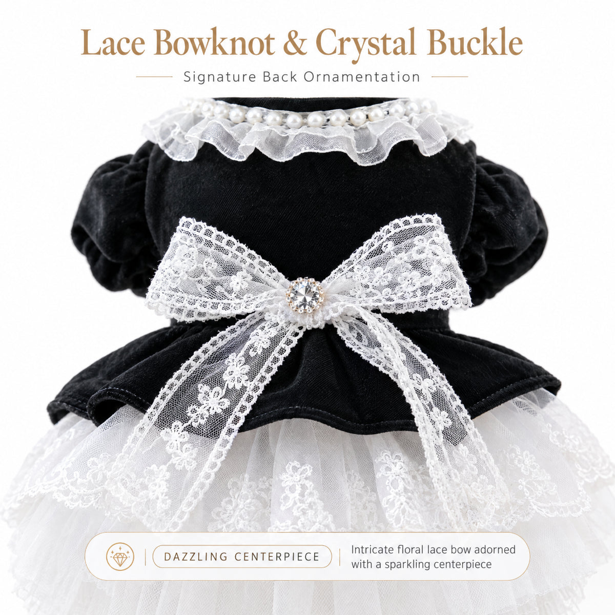 Black Velvet Lace Princess Dress for Small Dogs