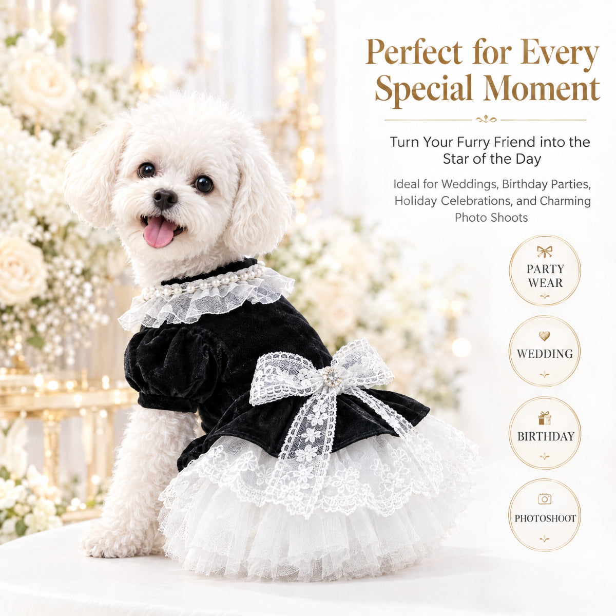 Black Velvet Lace Princess Dress for Small Dogs