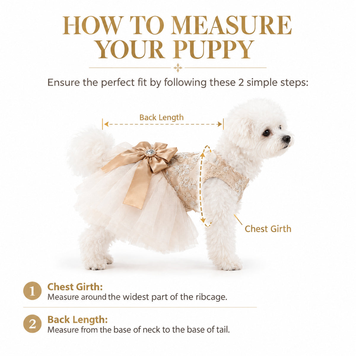 Champagne Luxury Princess Dress for Small Dogs
