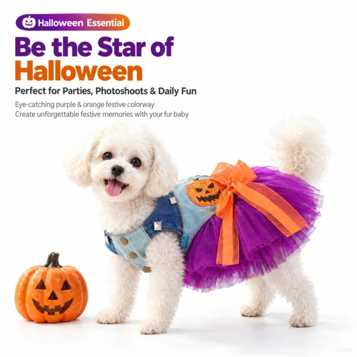 Spooky Pumpkin Dress for Small Dogs
