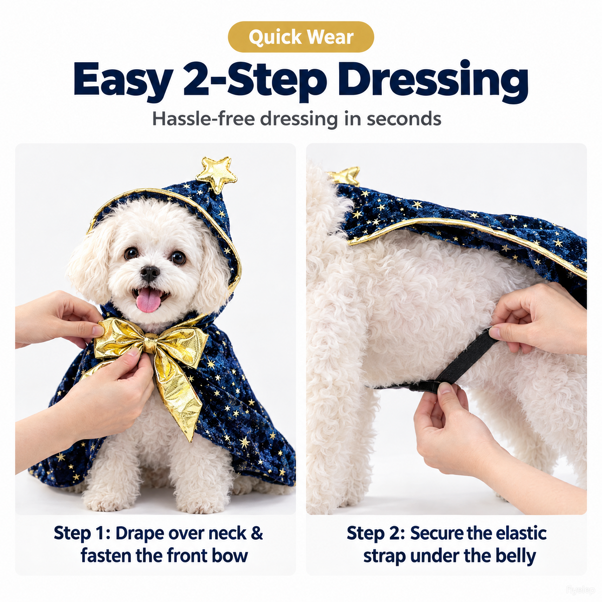 Wizard Halloween Costume for Small Dogs
