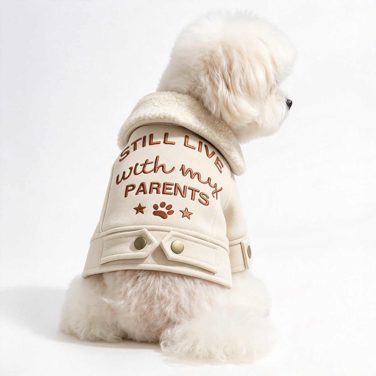 Faux Leather Biker Jacket for Small Dogs